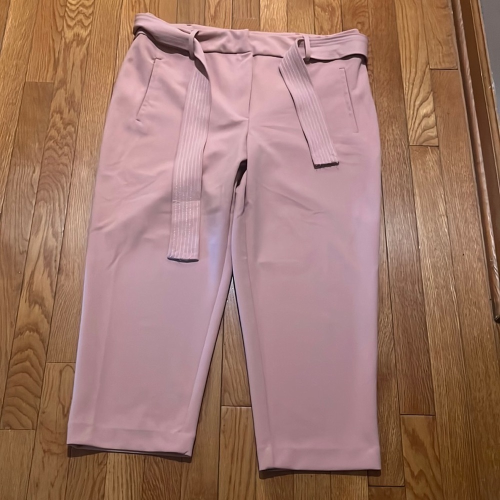 C by One Dressy Capris! Gorgeous! Excellent Condition!
